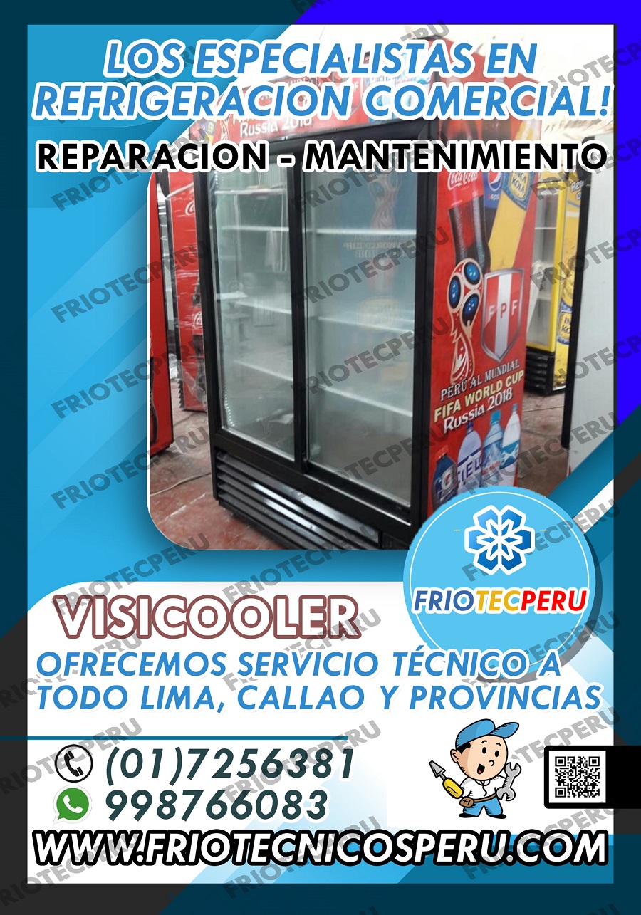 Héroes del frío Reparación de visicoolers 998766083